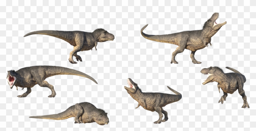 T Rex Png Transparent Image - Tyrannosaurus Clipart #14346