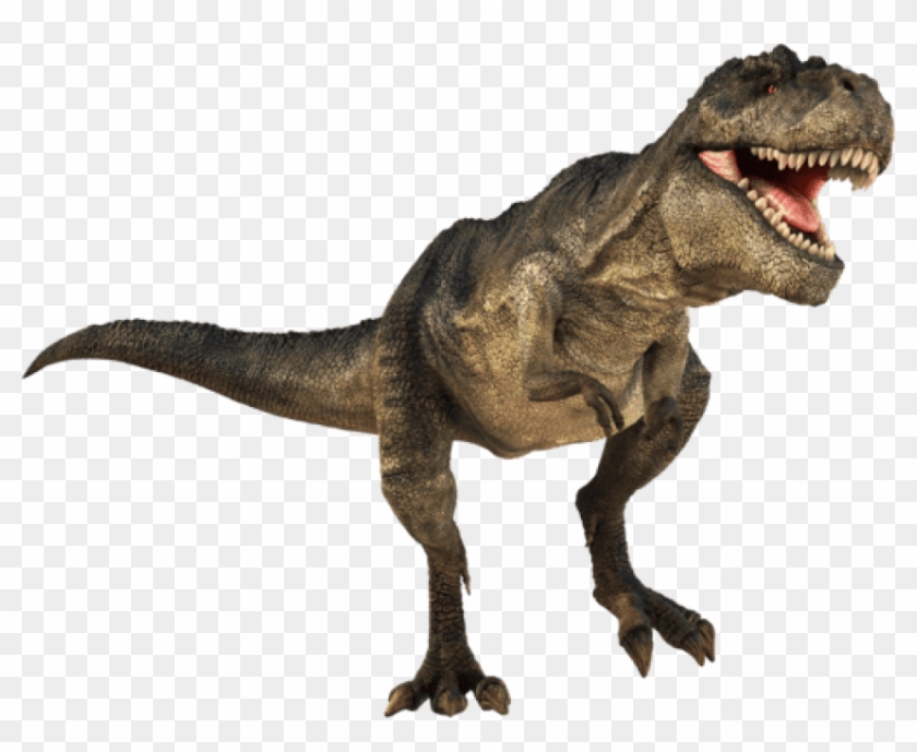 Download T-rex Png Images Background - T Rex Dinosaur Png Clipart #14456