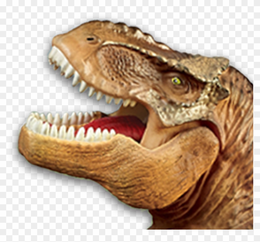 Unlock Your Fun Dinosaur Facts - Tyrannosaurus Clipart #14620