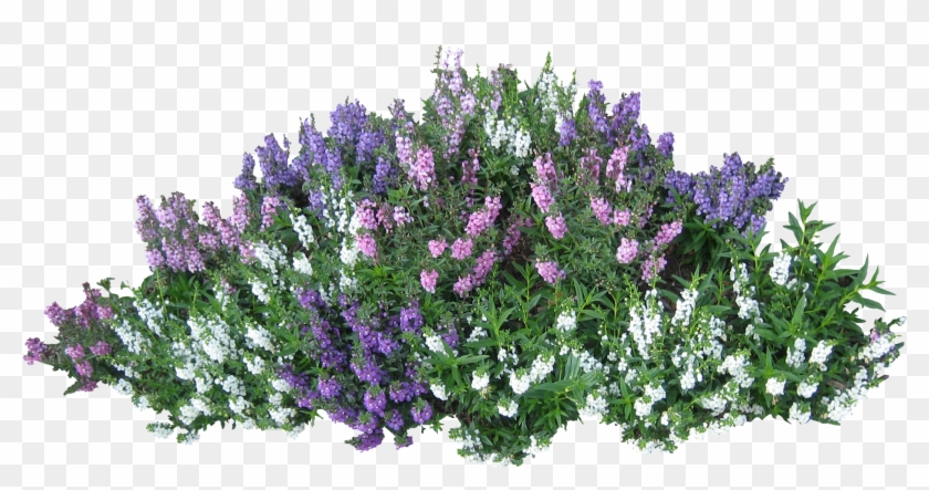 Shrubs Png - Bush With Flowers Png Clipart #14968