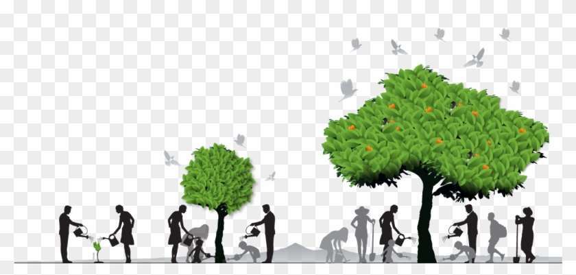 Tree-growth - Grace Sacramento Clipart