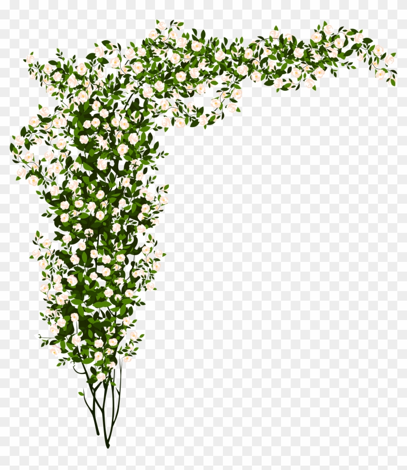 Clipart Png Bush - Rose Bush Png Transparent Png