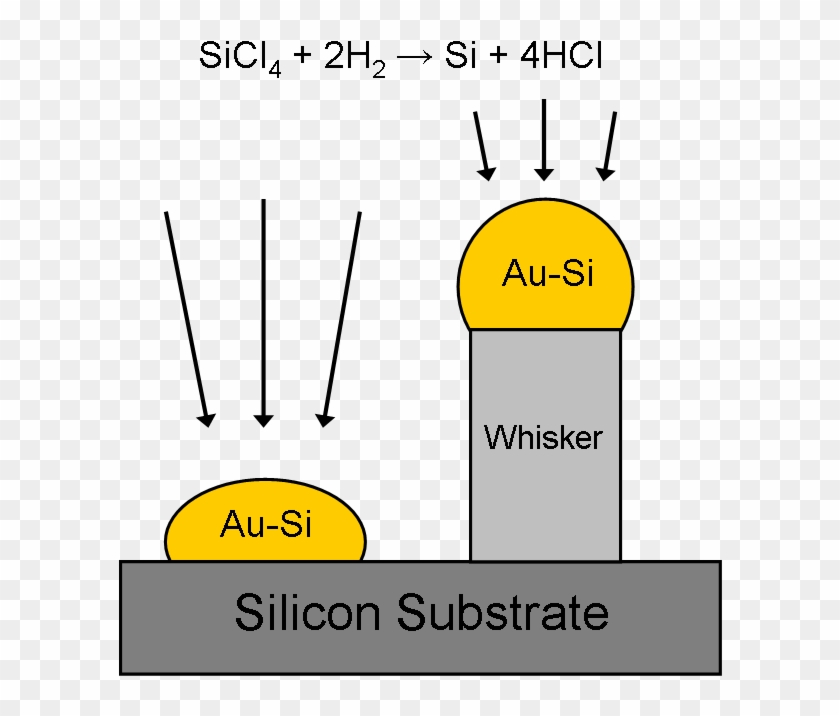 Au-si Droplet Catalyzing Whisker Growth - Vapor Liquid Solid Growth Clipart