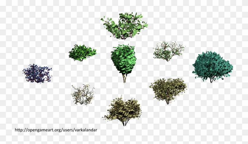 Hjm Bushes 08 Alpha 198 Kb [201 Download ] - Broccoli Clipart