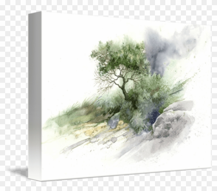 Free Png Download Mind Of Watercolor Trees Png Images - Mind Of Watercolor Trees Clipart #15912