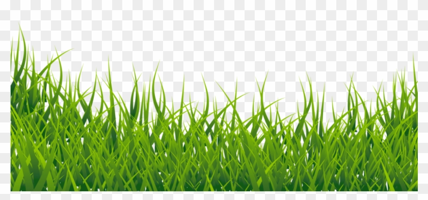 Free Png Grass Vector Png Images Transparent - Grass Png Images Hd Clipart #16019