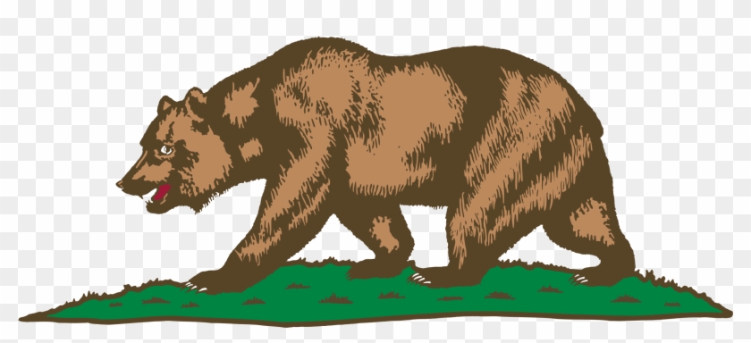Grizzly Bear Png Clipart #16036
