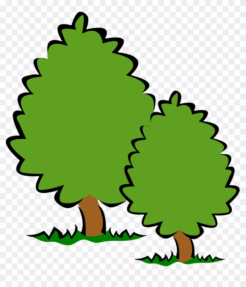 Small Trees Or Shrubs - Trees Clipart Transparent Background - Png Download #16067