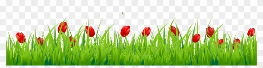 Hd Green Grass Png Clipart #16115