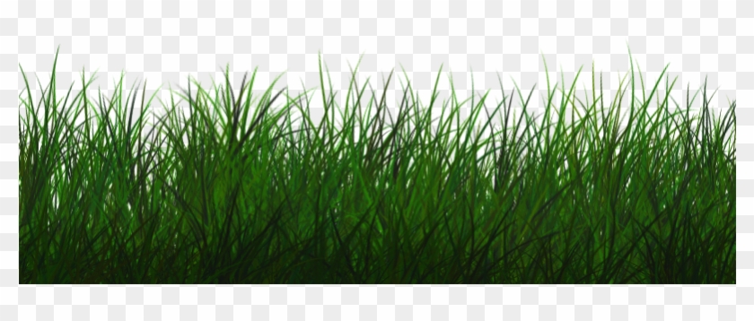 Free Transparent Grass Texture Seamless Png - Grass Photoshop Clipart #16202