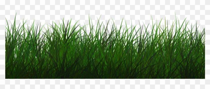 Free Transparent Grass Texture Seamless Png - Grass Photoshop Clipart