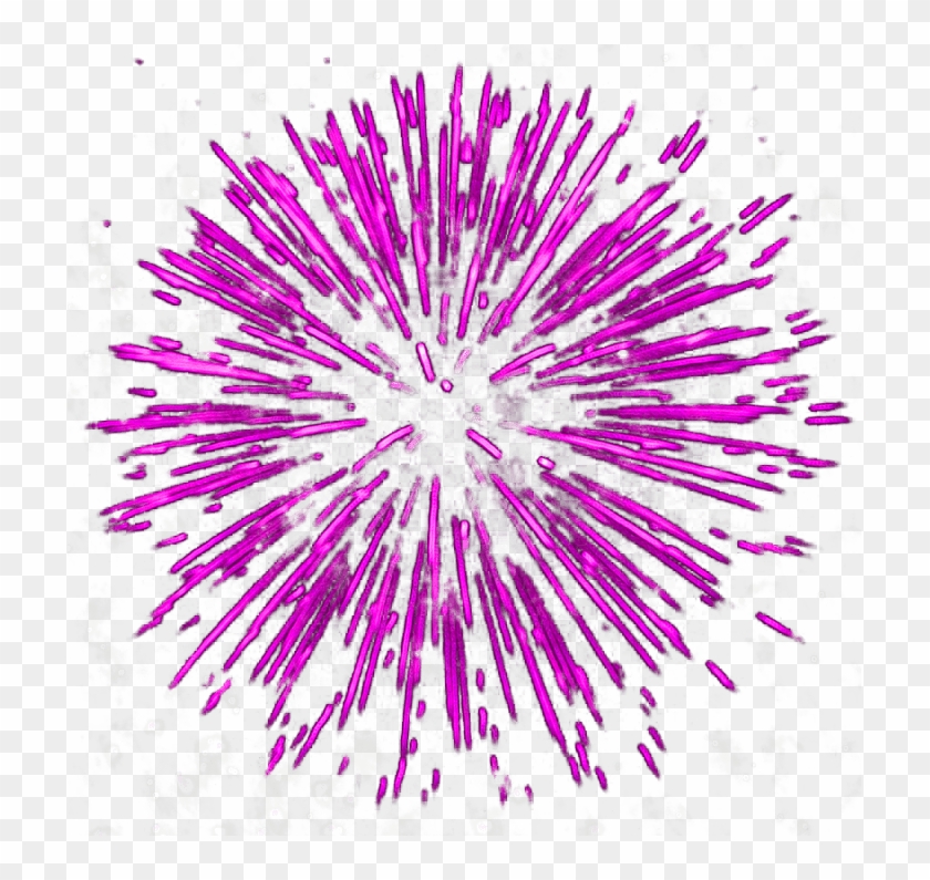Firework Explosion Transparent Background Png Image - Lavender Clipart