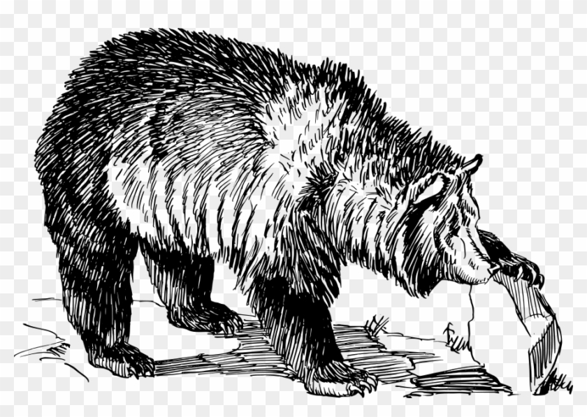 Grizzly Bear Clipart - Png Download