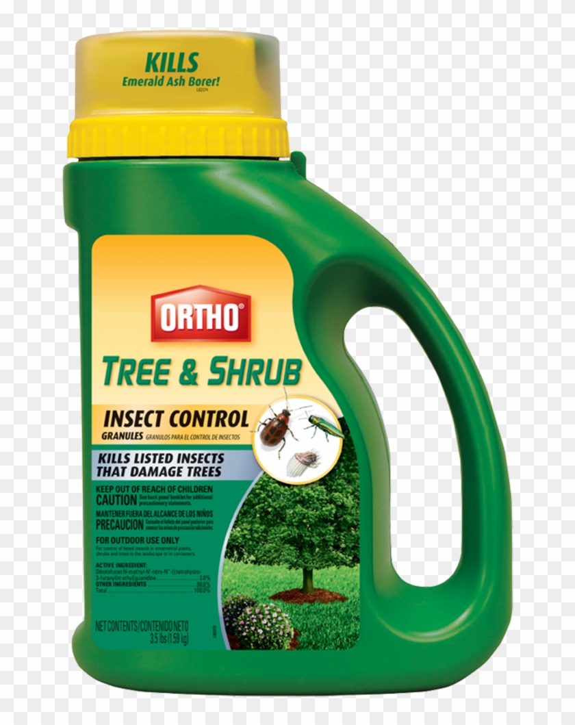 Help Center - Emerald Ash Borer Clipart #16479