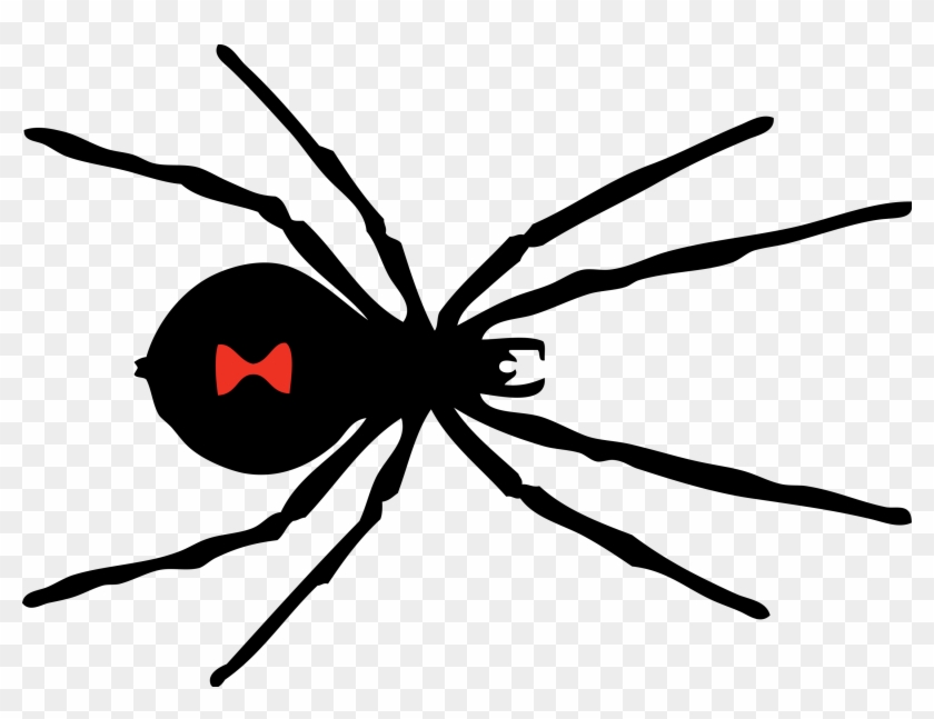 Illustration Of A Black Widow Spider - Black Widow Spider Logo Clipart