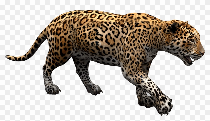 Jaguar Walking Png Download Image - Jaguar Png Clipart #16744