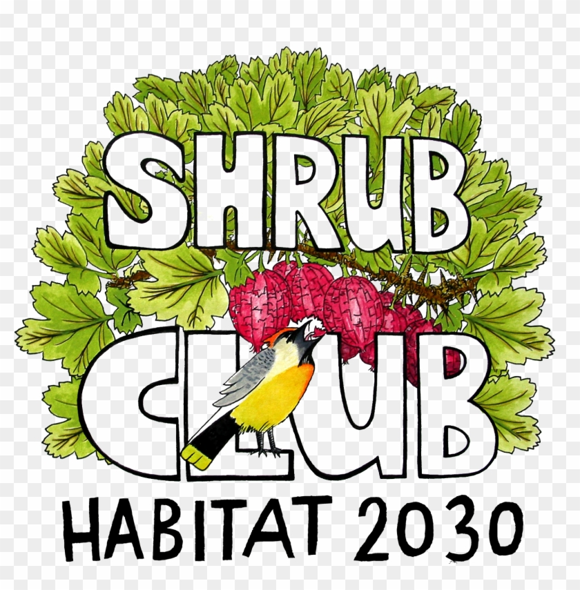 Clip Art - Png Download