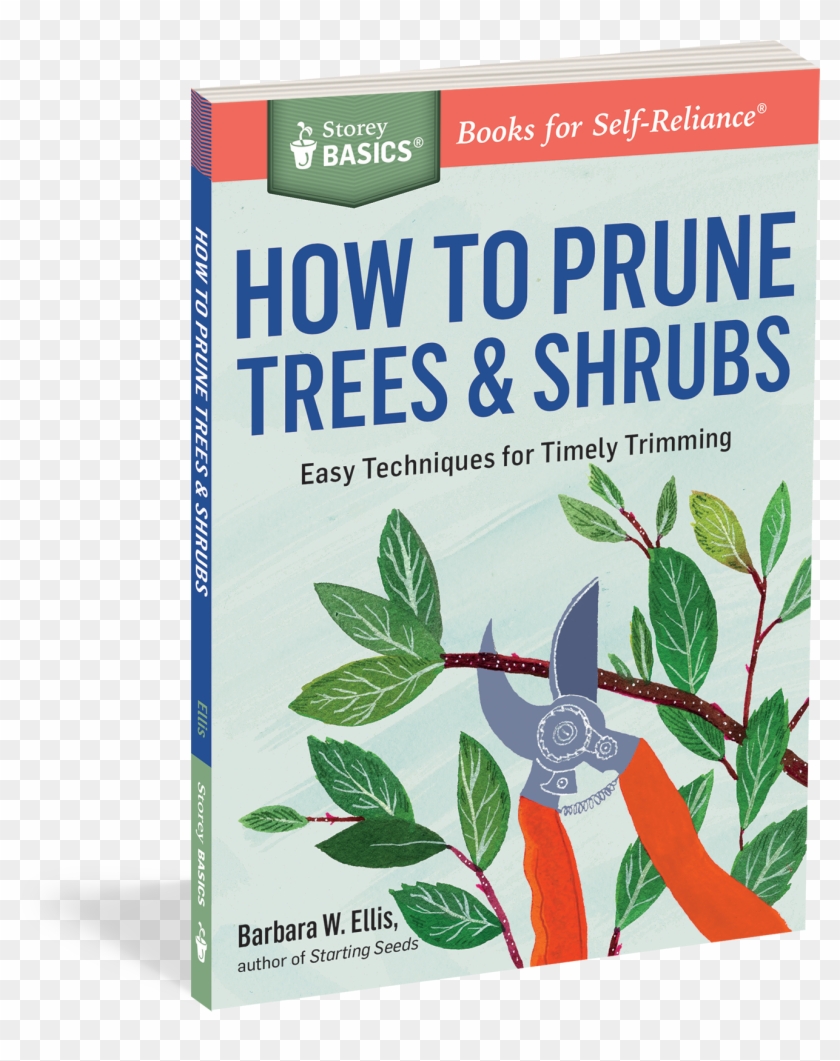 Cover - How To Prune Trees & Shrubs: Easy Techniques For Clipart #16898