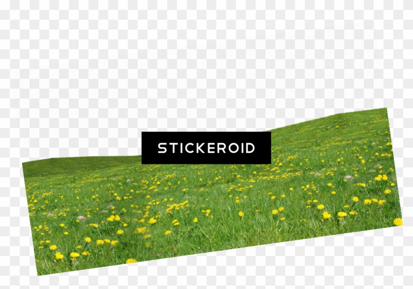 Grass - Artificial Turf Clipart #17142