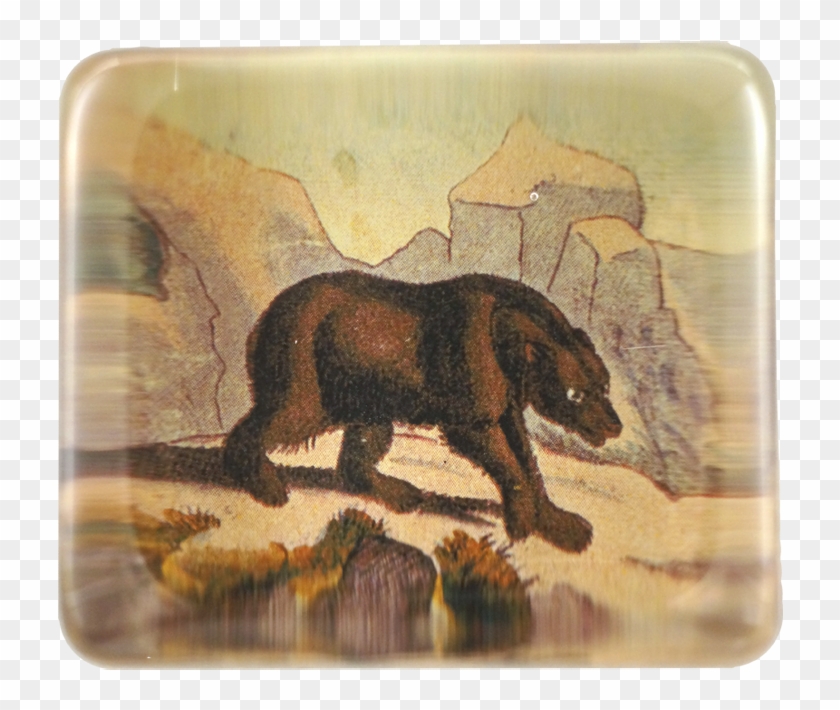 Grizzly Bear Clipart #17250
