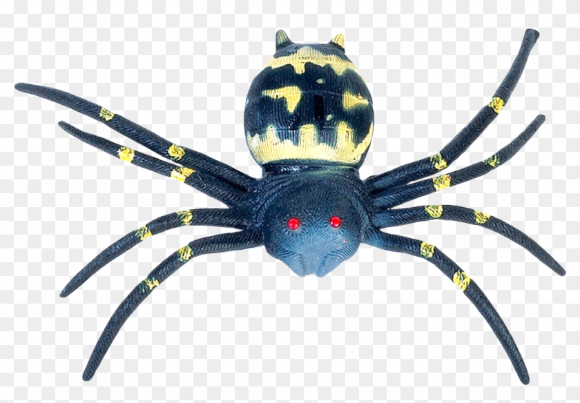 Free Png Spider Png Images Transparent Clipart #17329