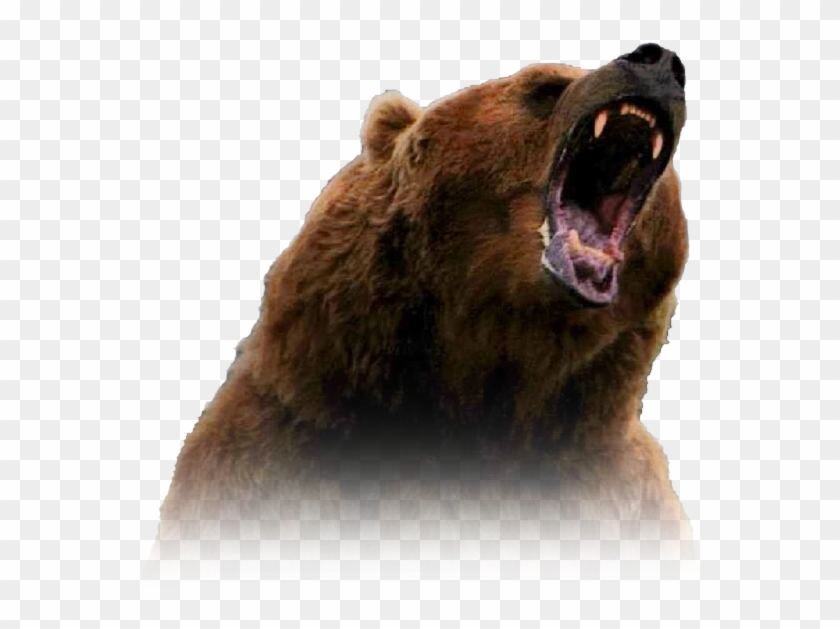 Grizzly Bear Clipart