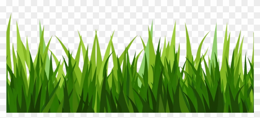 Download Png Images - Grass Clip Art Transparent Background #17487