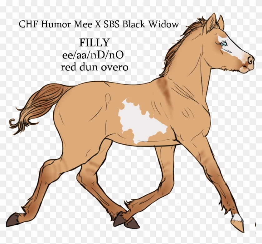 Chf Humor Mee X Sbs Black Widow By Cherryhillfarms - Mane Clipart