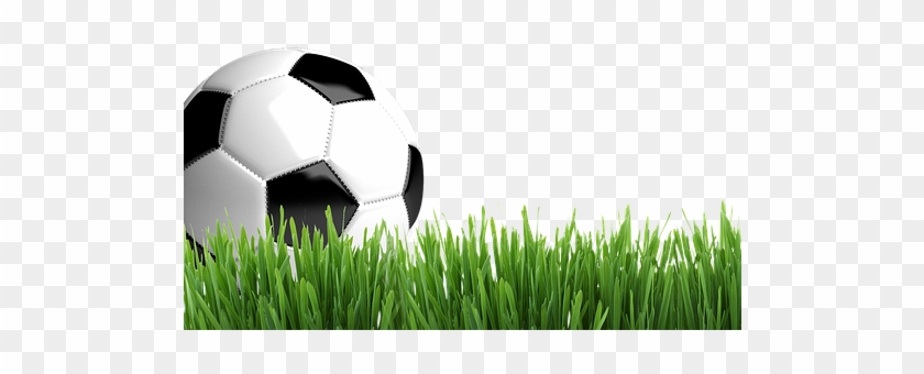 Football And Grass Png Clipart #18646