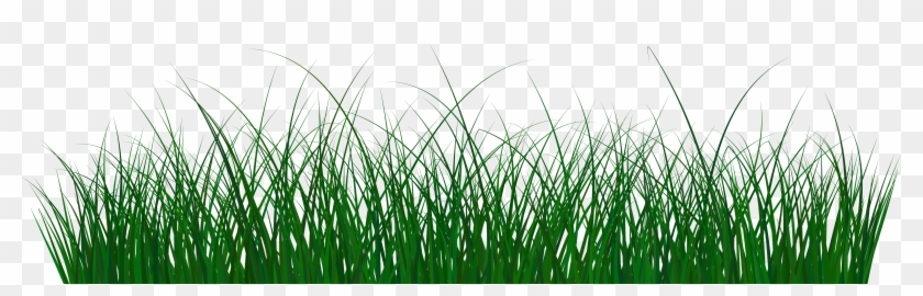 Sweet Grass Clipart #18947