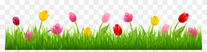 Grass With Colorful Tulips Png Clipart - Tulip Border Clip Art Transparent Png