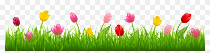 Grass With Colorful Tulips Png Clipart - Tulip Border Clip Art Transparent Png #18994