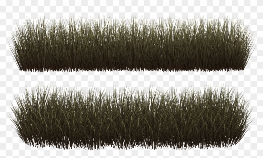 Clump Of Grass Png - Grass Clump Png Clipart #19127