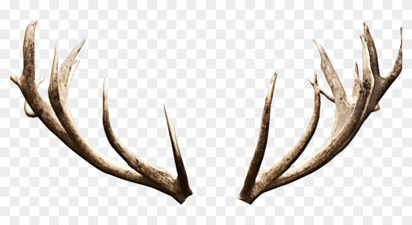 Deer Antlers Horns Png Image - Deer Horns Png Clipart