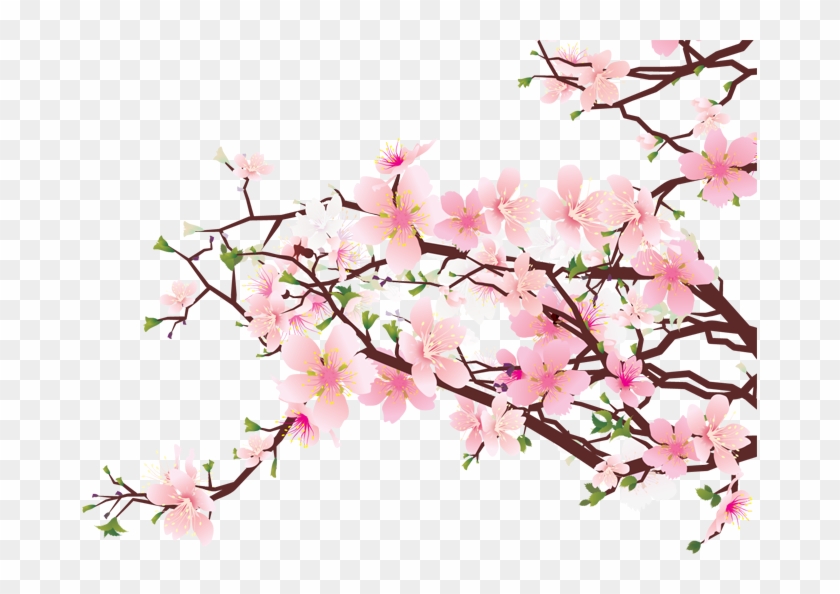 Clipart Nature Transparent Cherry Blossom - Cherry Blossom Transparent Background - Png Download
