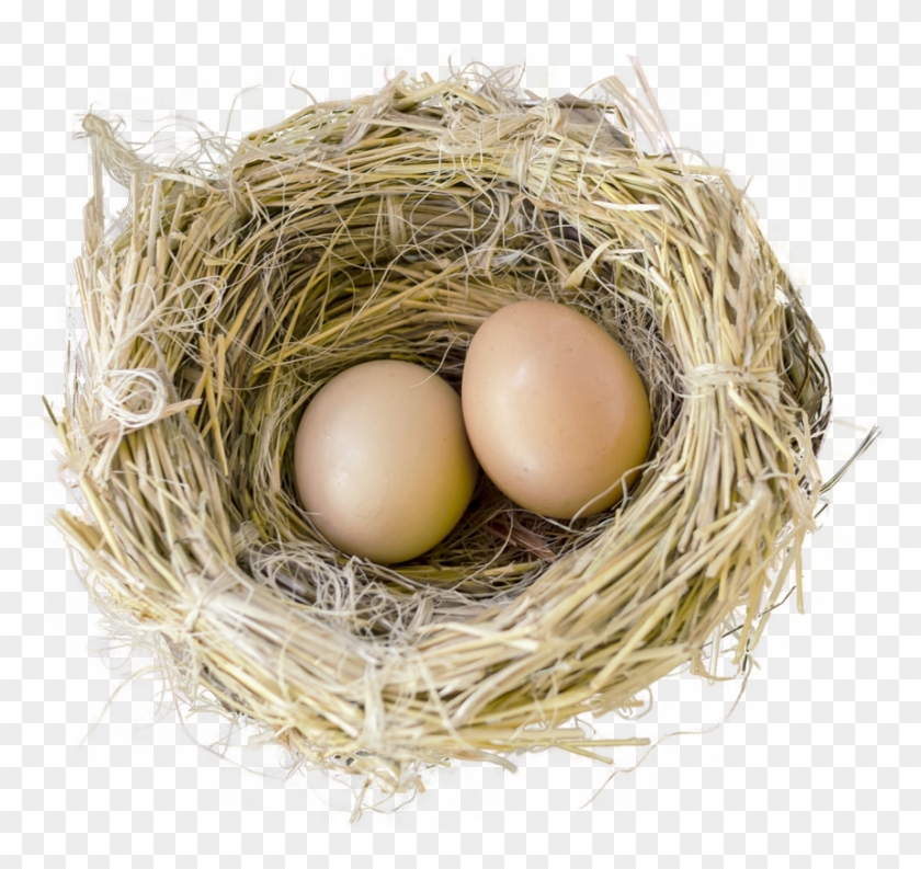 Birds Nest Transparent Background Clipart