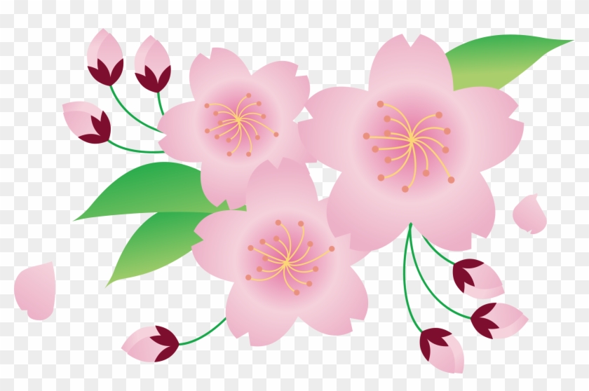 Big Image - Clip Art Flowers Sakura - Png Download