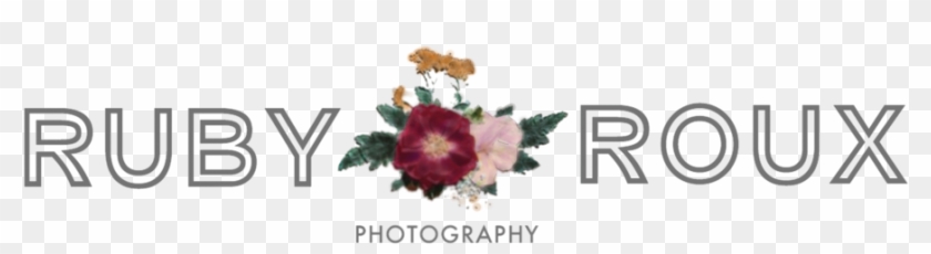 Photography Png Clipart #19954