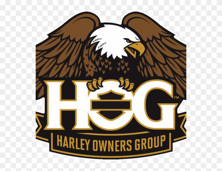 Harley Davidson Hog - Harley Owners Group Hog Logo Clipart #100205