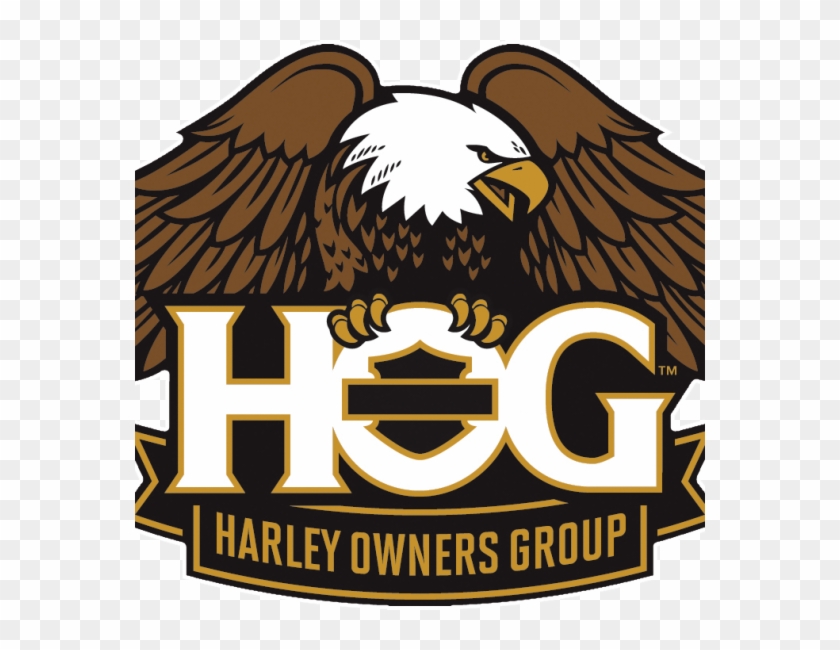 Harley Davidson Hog - Harley Owners Group Hog Logo Clipart