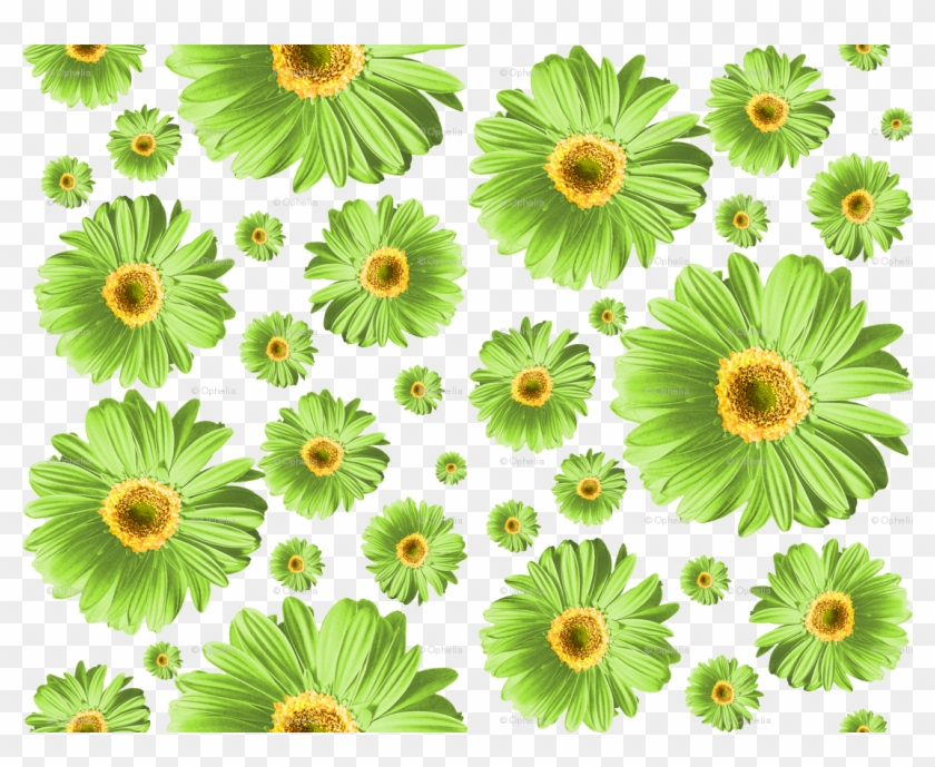 Green Daisies Clipart