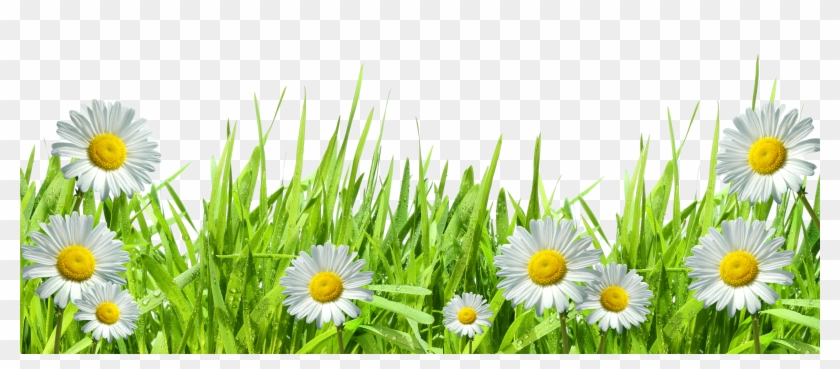 Grass And Flowers Png Clipart #101253