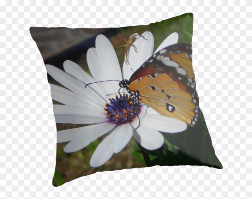 Damon Salvatore Clipart #101369