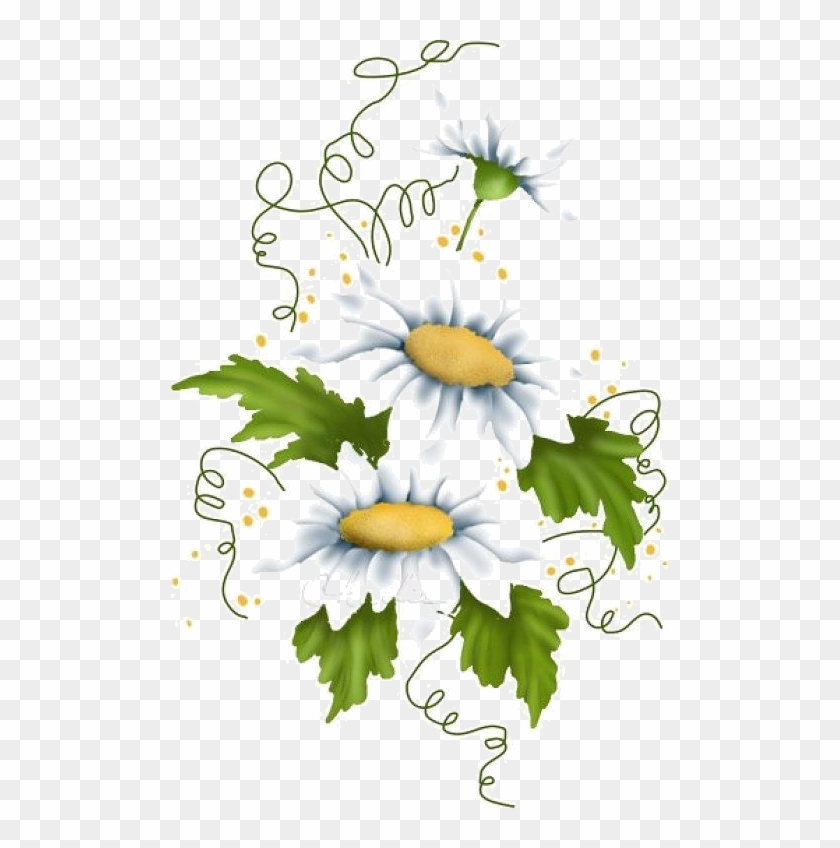 Daisies Clipart Flores - Daisies Clip Art - Png Download #101588