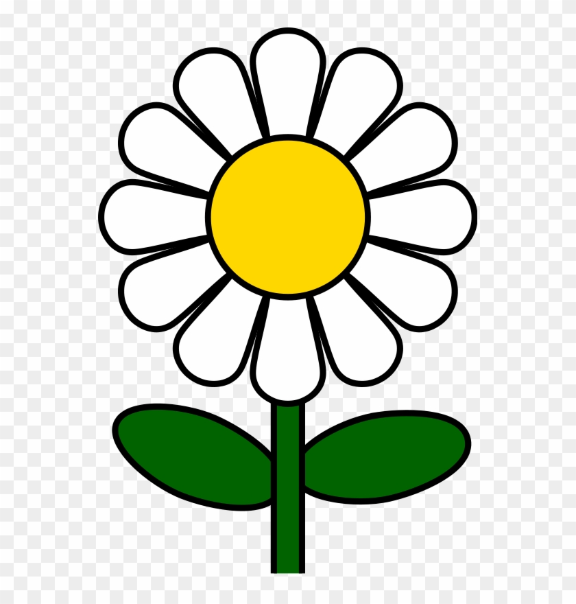 Of free daisies pictures Types of