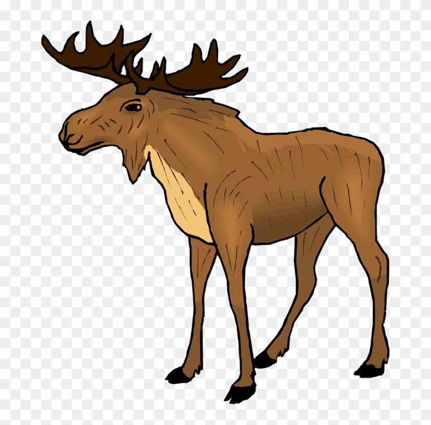 Moose Png Transparent Image - Moose Clipart