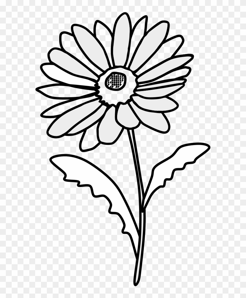 Daisy, Petals, Black And White, Png - Wall Decal Clipart