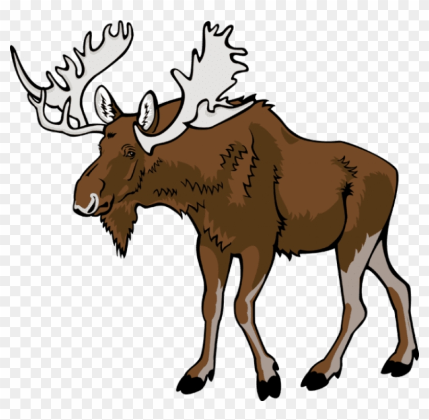 Free Png Download Moose Png Images Background Png Images - Moose Clipart #101901