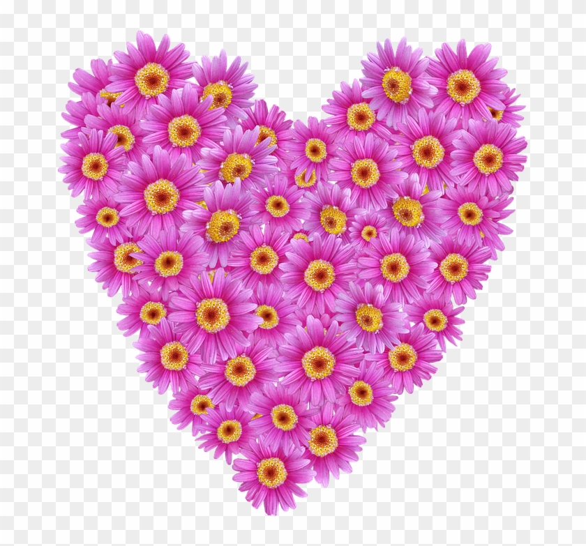 Daisies, Heart, Valentine, Romantic, Floral - Chrysanths Clipart