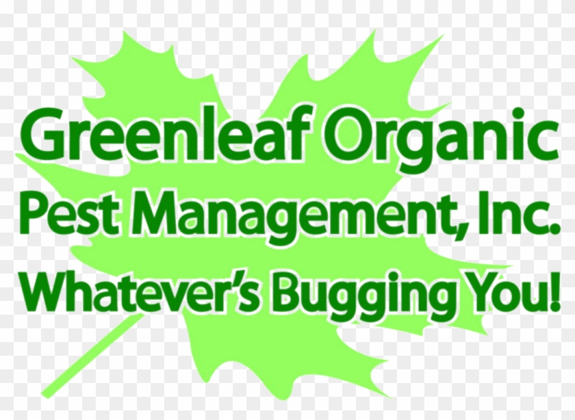 App Background Number877 - Graphic Design Clipart #102030